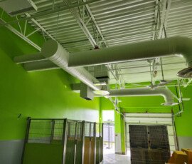 Pet Suites Pet Suites